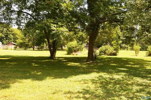 .39 Acres Harvey Wilborn Street, Scottsboro, AL 35768