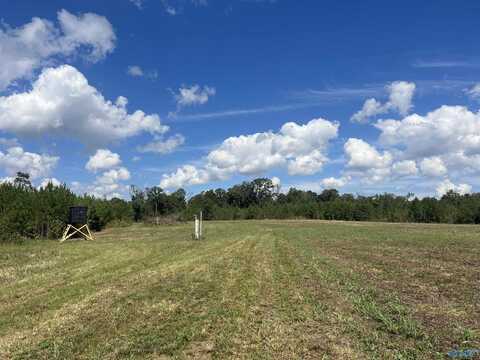 140 +/- Acres Highway 157, Leighton, AL 35646