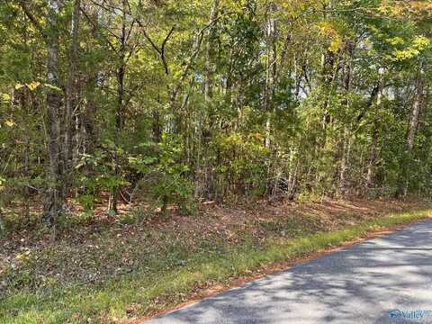 Lot Briarcliff Point, Rainbow City, AL 35906