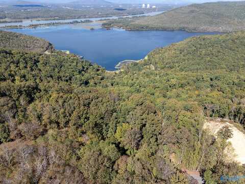 Lot 2 County Road 224, Dutton, AL 35744