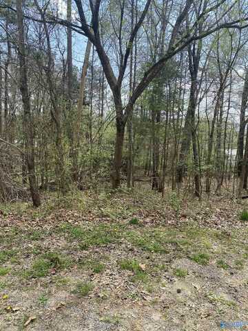 Lot 12 Hickory Lane, Valley Head, AL 35989