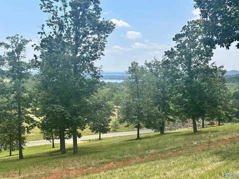 Lot 218 County Road 1022, Cedar Bluff, AL 35959