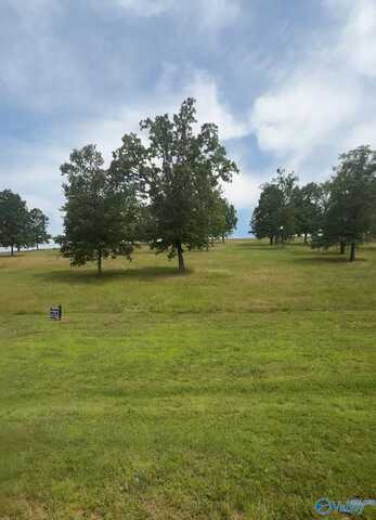 Lot 220 County Road 767, Cedar Bluff, AL 35959