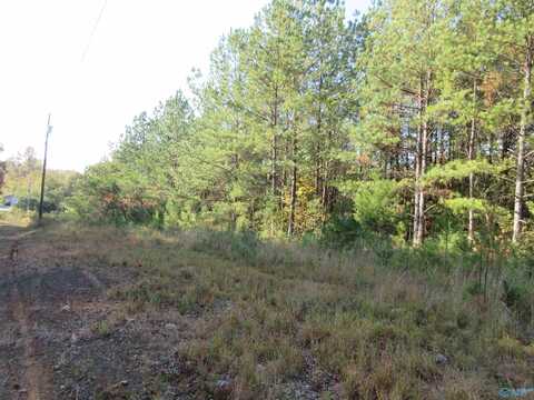 1976 County Road 276, Stevenson, AL 35772