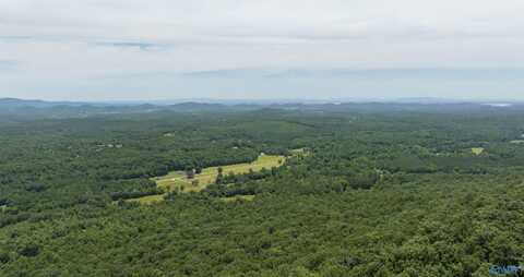 405 County Road 865, Gaylesville, AL 35973