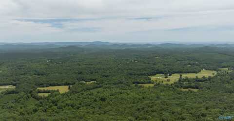 495 County Road 865, Gaylesville, AL 35973