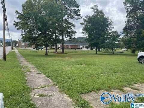 217 N Main Street, Piedmont, AL 36272