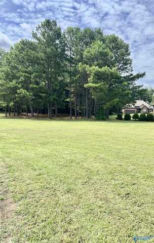 Lot 13 Ashley Lane, Southside, AL 35907