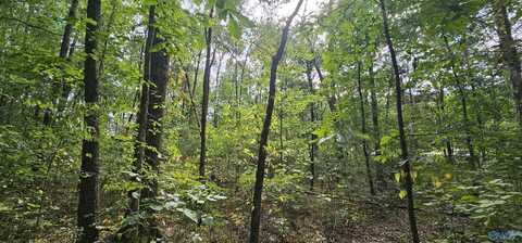 7.82 +/- Acres N Alabama Highway 79, Scottsboro, AL 35768