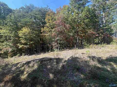 Lot 2 Lynn Drive, Fort Payne, AL 35967