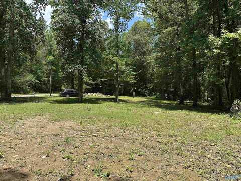 159 Blowing Cave Road, Gurley, AL 35748