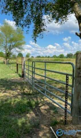 64 Acres County Road 463, Section, AL 35771