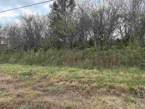 2.44 Ac Alabama Highway 75, Ider, AL 35981