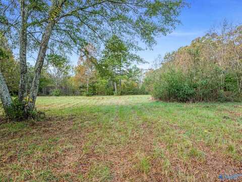 Tract 2 County Road 165, Rogersville, AL 35652