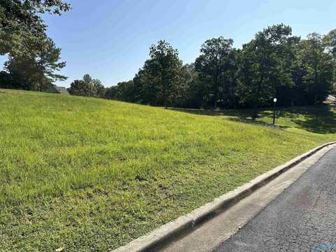 Lot 16 County Road 1027, Valley Head, AL 35989