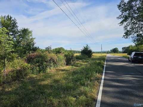 20 Acres #2 Lee Road E, Falkville, AL 35640