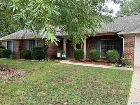 179 Raspberry Way, Madison, AL 35757