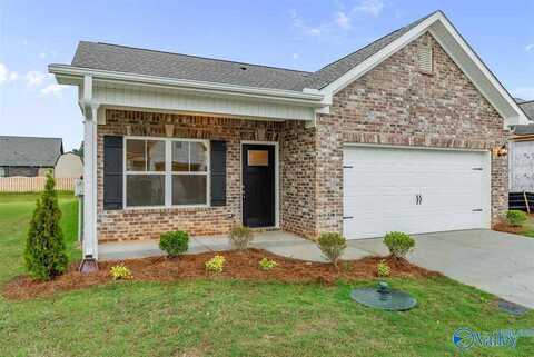 127 Morning Dew Road, Toney, AL 35773