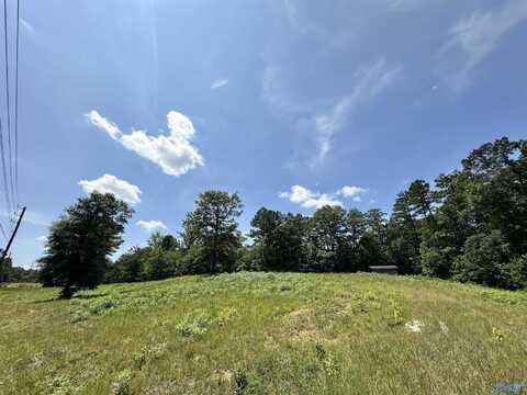 1.8 Acres +/- Tabor Road, Gadsden, AL 35904