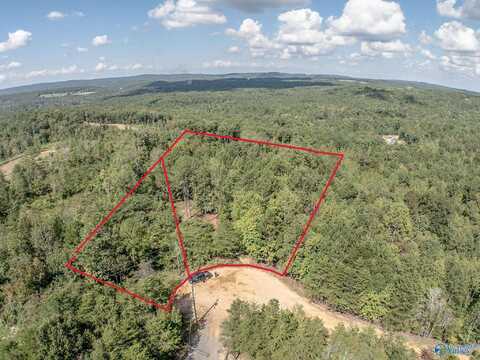 8.1 Acres Pine Trail, Altoona, AL 35952