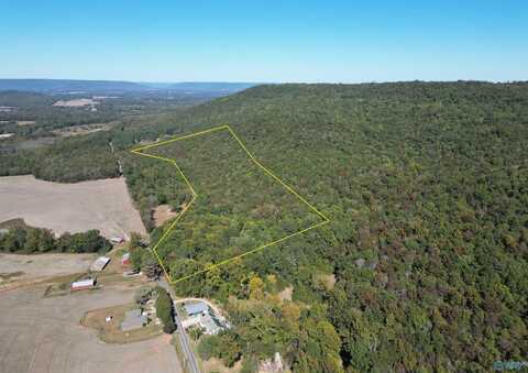 61.5 Ac Butler Mill Road, Grant, AL 35016