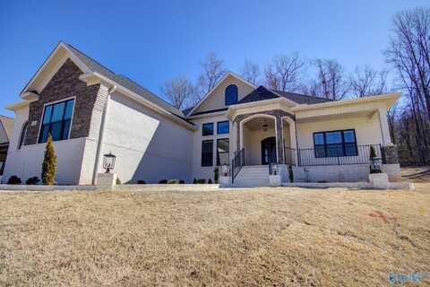 111 Megans Mews Drive, Harvest, AL 35749