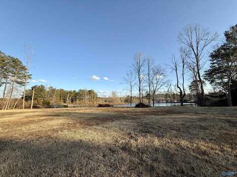 .67 +/- Acres Church Circle, Gadsden, AL 35901