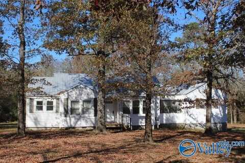 37834 Hwy 75, Fyffe, AL 35971