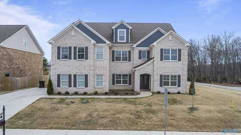 100 Posada Drive, Madison, AL 35756