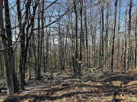 Lot 171 Frostline Court, Davis, WV 26260