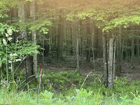 Lot 171 Frostline Court, Davis, WV 26260
