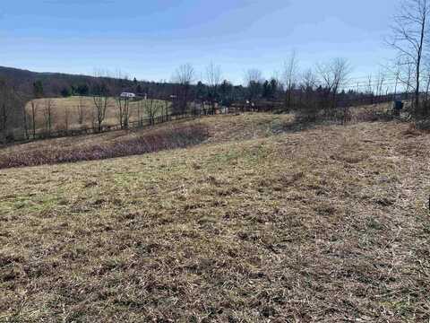 TBD Old Elkins Road, Buckhannon, WV 26201