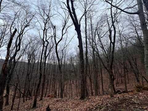 315 Windflower Drive, Jasper, GA 30143