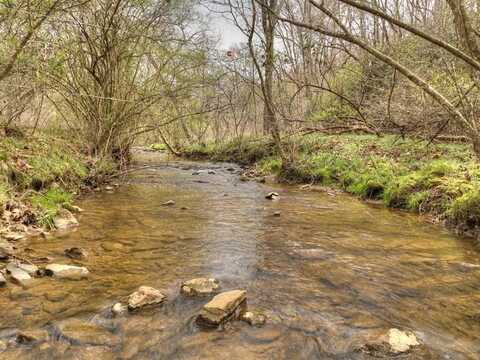 Dallas Lane, Blue Ridge, GA 30513