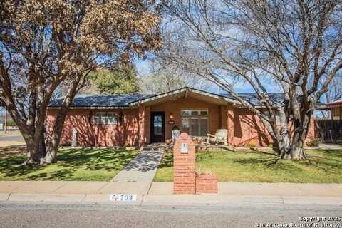 703 E Fir St, Denver City, TX 79323