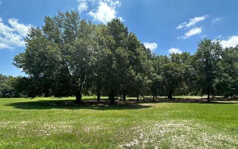 TBD SW PACES GLEN (LOT 2), Lake City, FL 32024