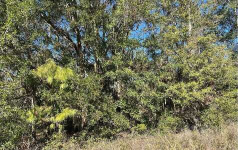 TBD SW BRANCH DRIVE (LOT 2), Lake City, FL 32024