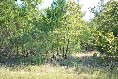 Lot 77 LCR 910 Drive, Jewett, TX 75846