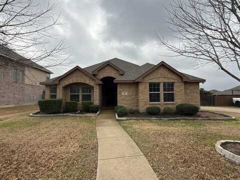 916 Mockingbird Lane, Glenn Heights, TX 75154