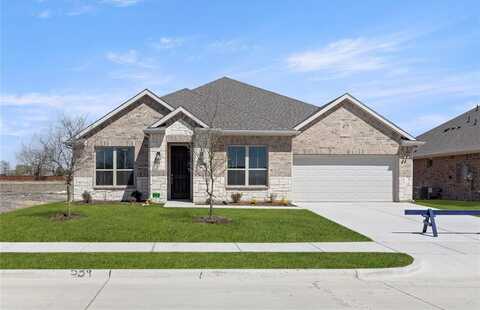 539 San Angelo, Forney, TX 75126