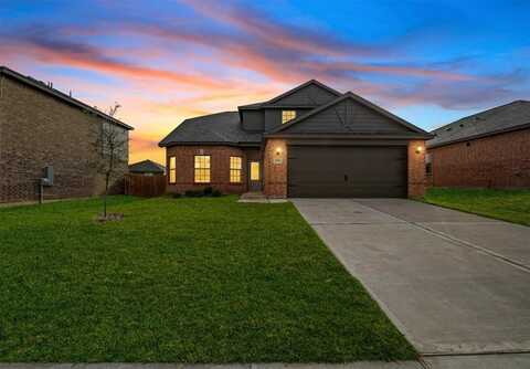 265 Moonstone Way, Princeton, TX 75407