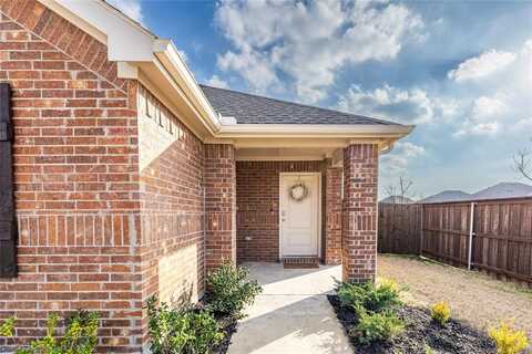 1113 Dewy Glen Lane, Princeton, TX 75407