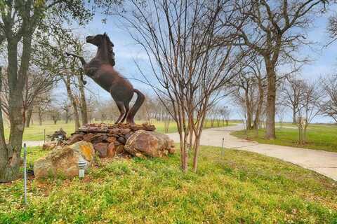 10827 Saint John Road, Pilot Point, TX 76258