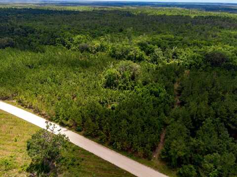 003 Brushy Hammock, Mayo, FL 32066