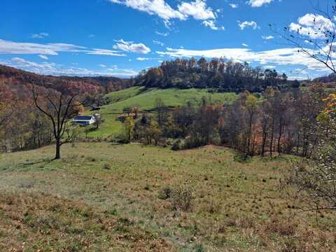 2455 Lower Run Rd, Normantown, WV 25267