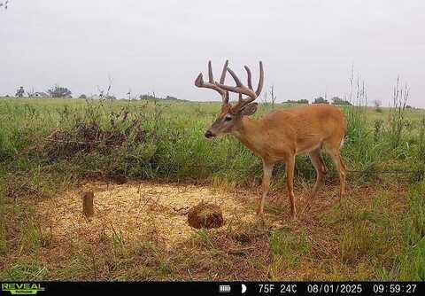 000 E 0040 Rd, Medford, OK 73759
