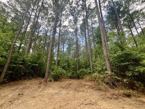 0 Reeves Road, Empire, AL 35063