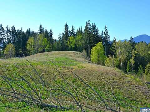 1000 Lemmon Rd, Port Angeles, WA 98362