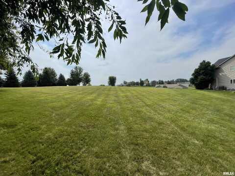 Lot 23 238TH Street, Le Claire, IA 52753