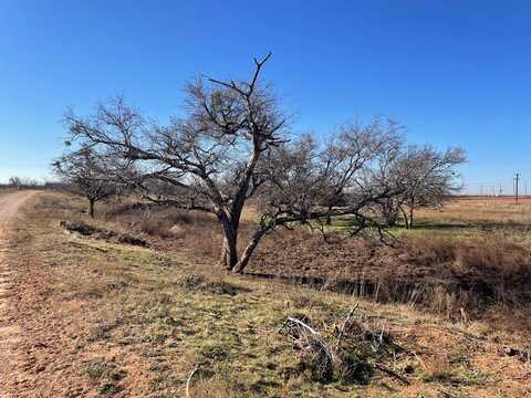 Tbd FM 1611, Snyder, TX 79549